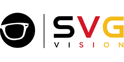 Steiner Vision