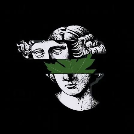 Vine
